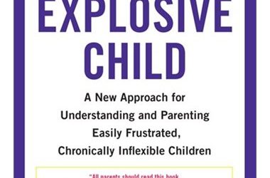 The Explosive Child