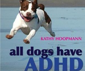 All Dogs Have ADHD
