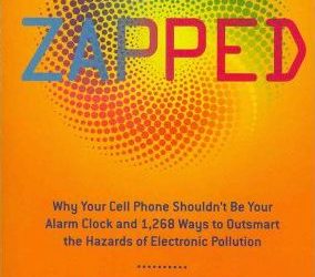 Zapped : Why Your Cell Phone Shouldn’t Be Your Alarm Clock and 1,268 Ways to Outsmart the Hazards of Electronic Pollution