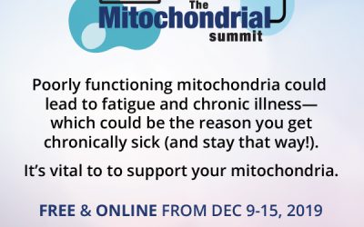 The Mitochondrial Summit