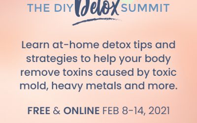 The DIY Detox Summit