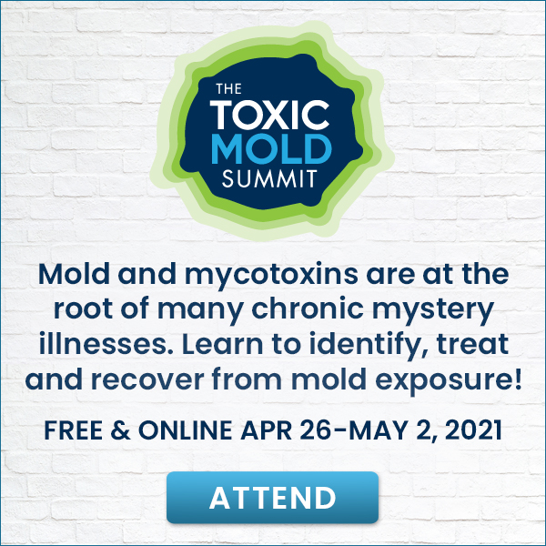 toxc-mold-summit-2021