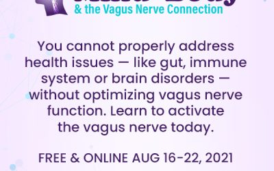Mind, Body & The Vagus Nerve Connection Summit