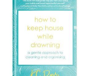 How to Keep House While Drowning : A gentle approach to cleaning and organising