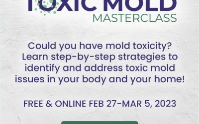 Toxic Mold Summit 2023