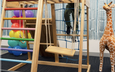 Indoor Toddler Play Gyms For Home, Childcare Centres, And Kindergartens