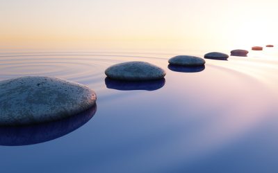 Neuroact Program (Adults 18+)