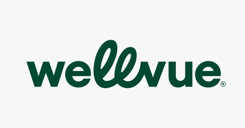 Wellvue logo featuring modern typography and circular icon design.